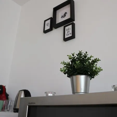 Viktoria 아파트 *