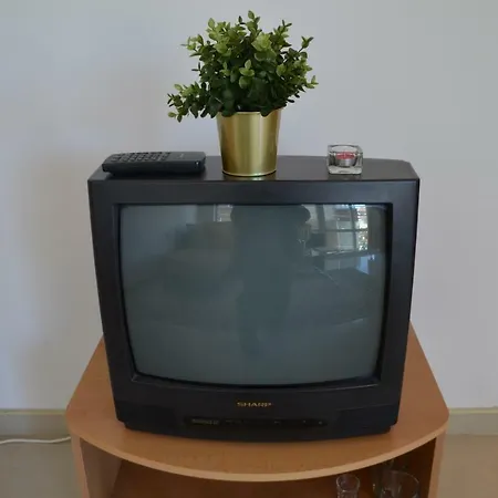 Viktoria 아파트 사레보